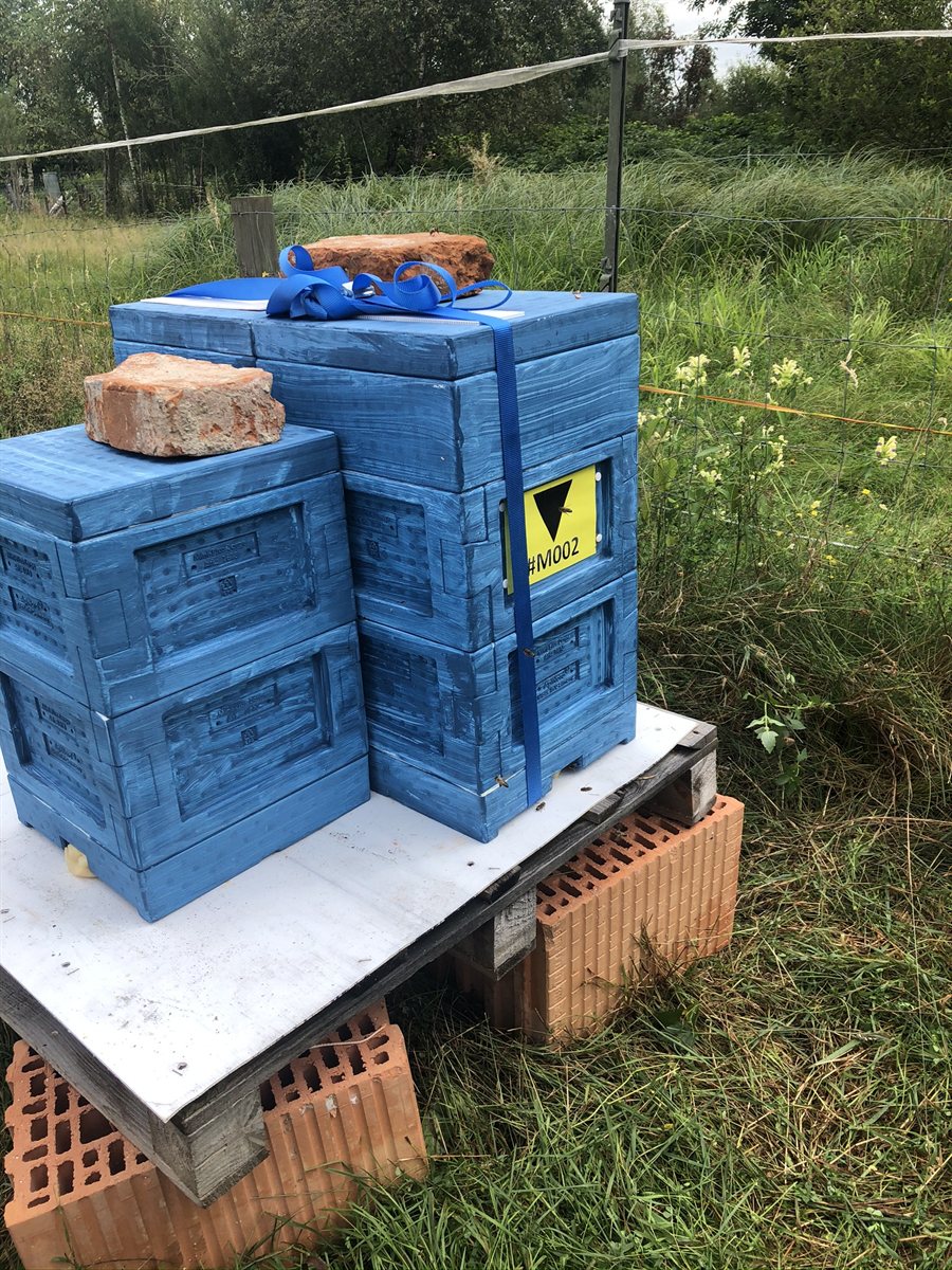 Blaue Mini-Plus-Beuten für die Königinnenzucht am Waldstandort